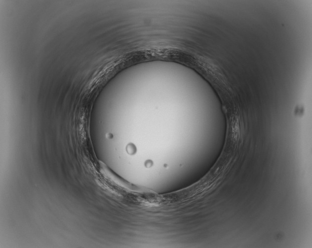 X0000115621060200911101410