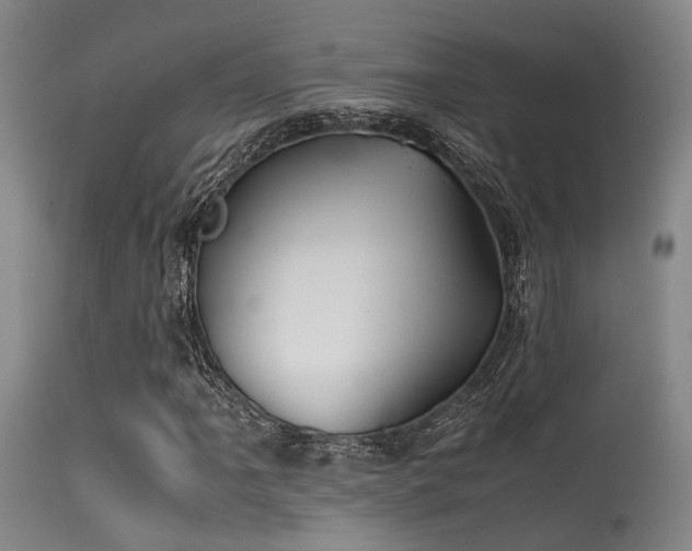 X0000115621061200911101410