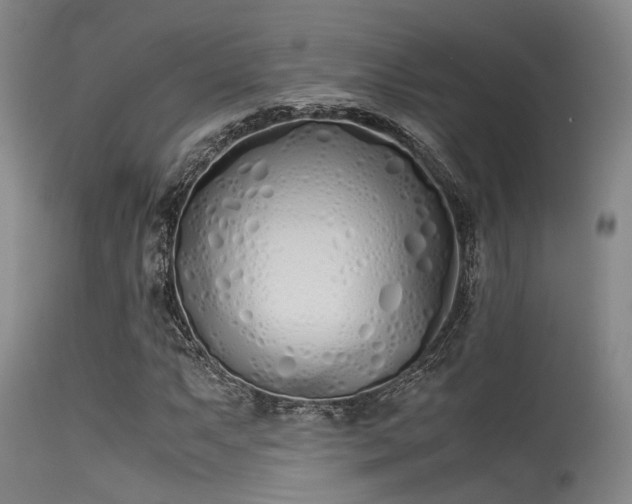 X0000115621063200911101410