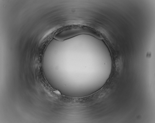 X0000115621064200911101410