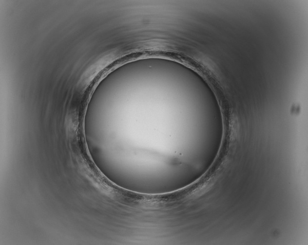 X0000115621065200911101410