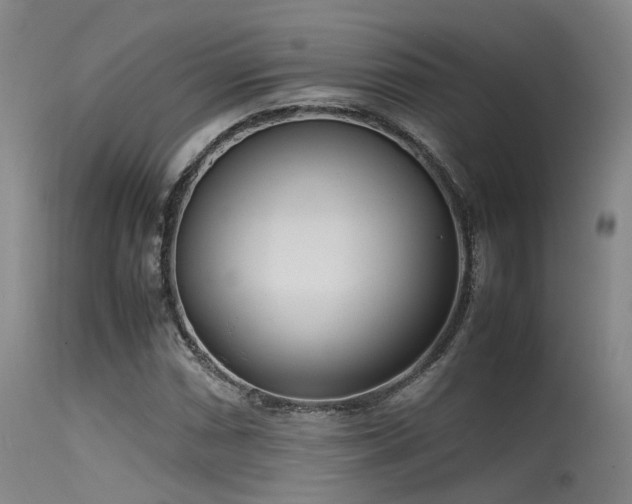 X0000115621066200911101410