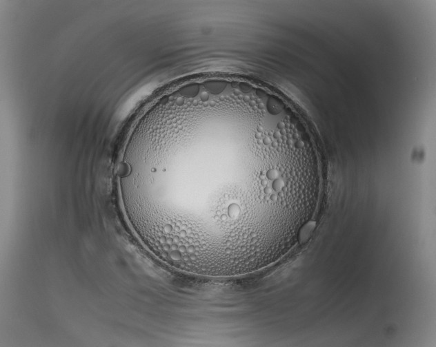 X0000115621067200911101410