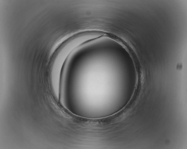 X0000115621069200911101410