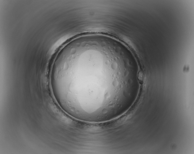 X0000115621071200911101410