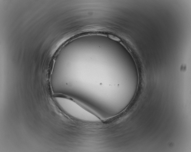 X0000115621073200911101410