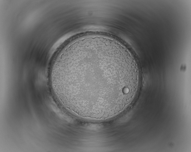 X0000115621074200911101410