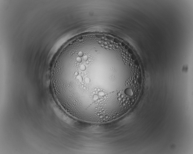 X0000115621075200911101410