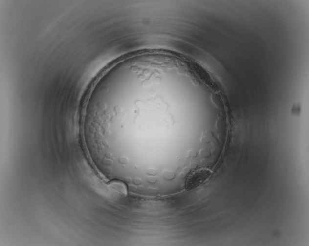 X0000115621076200911101410