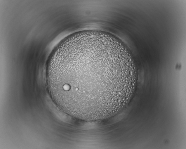 X0000115621078200911101410