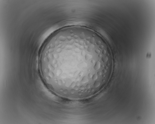 X0000115621079200911101410