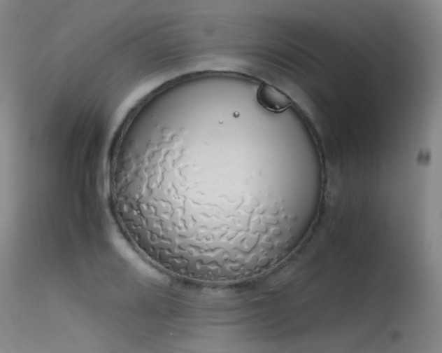 X0000115621080200911101410