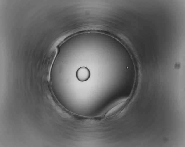 X0000115621081200911101410