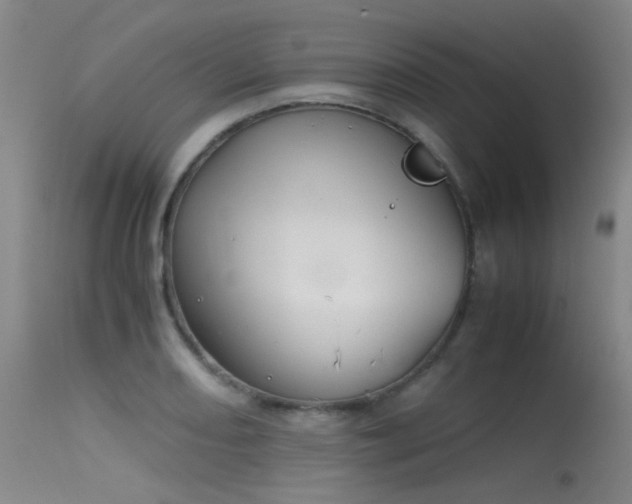 X0000115621082200911101410