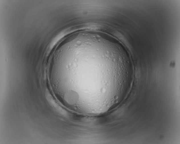 X0000115621083200911101410