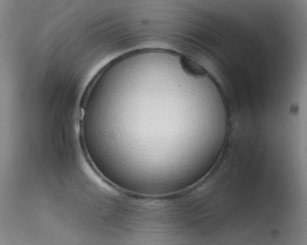 X0000115621084200911101410