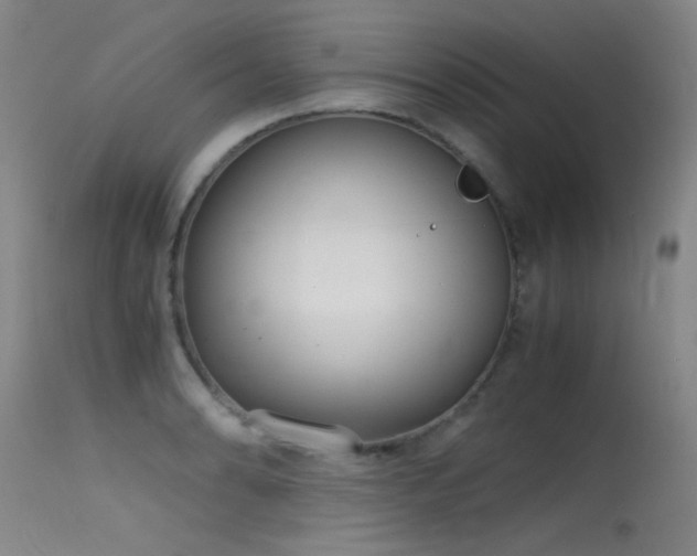 X0000115621086200911101410