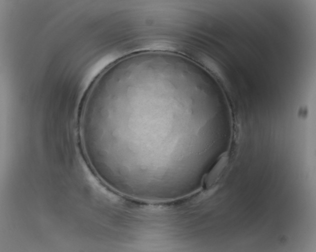 X0000115621087200911101410