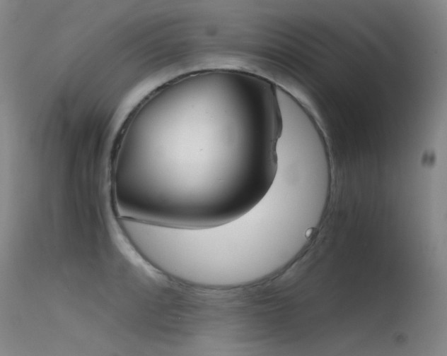 X0000115621088200911101410