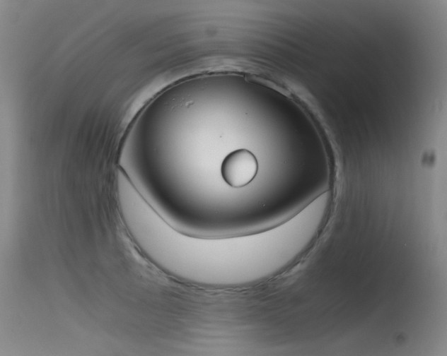 X0000115621089200911101410