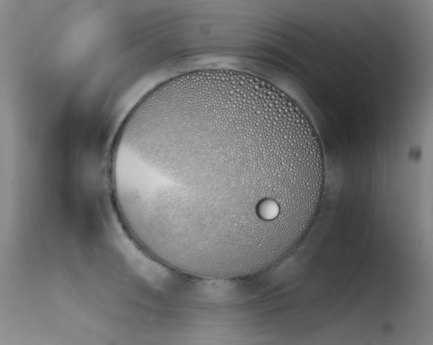 X0000115621090200911101410