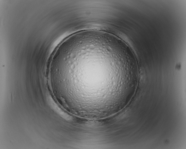 X0000115621091200911101410