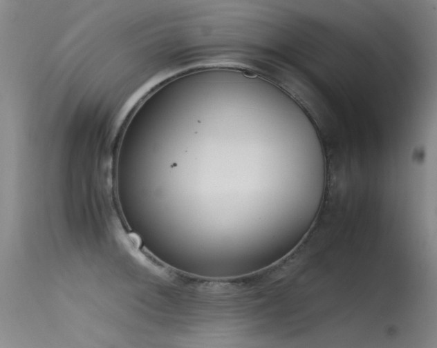 X0000115621092200911101410