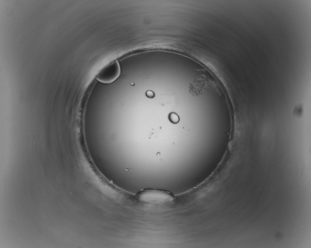 X0000115621093200911101410