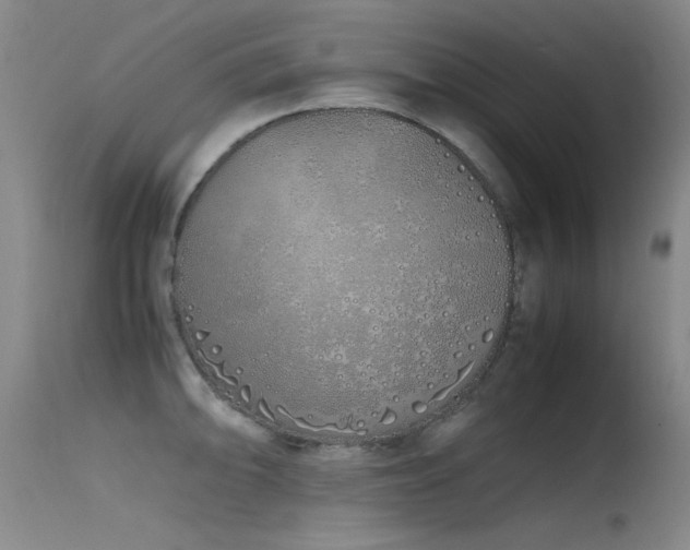 X0000115621094200911101410