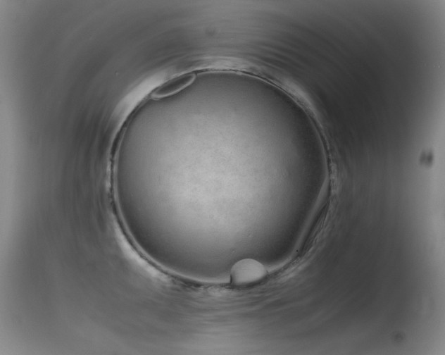 X0000115621095200911101410