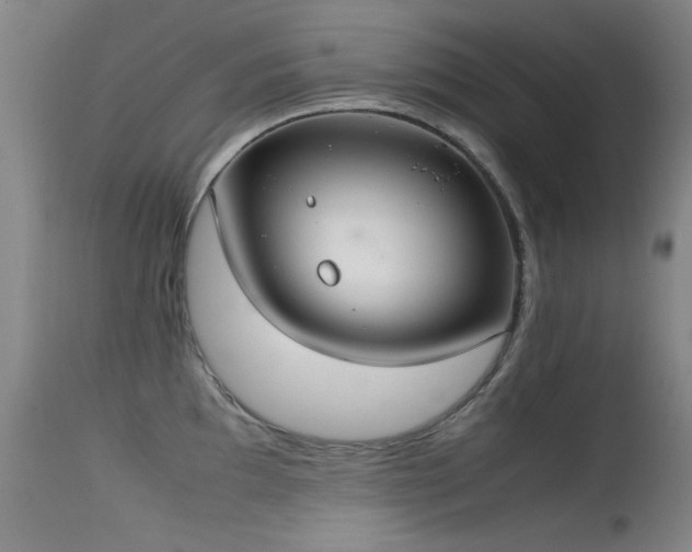 X0000115621097200911101410