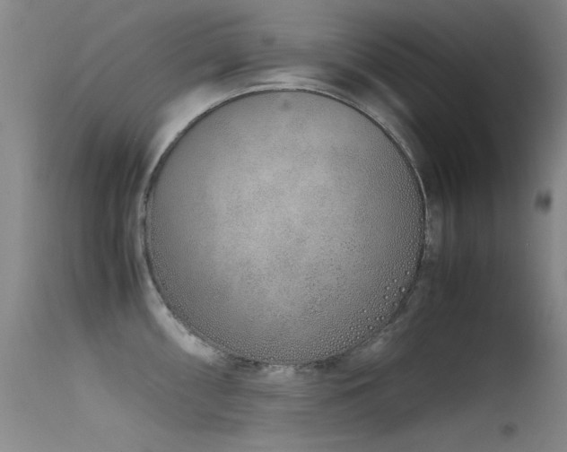 X0000115621098200911101410