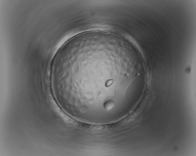 X0000115621099200911101410