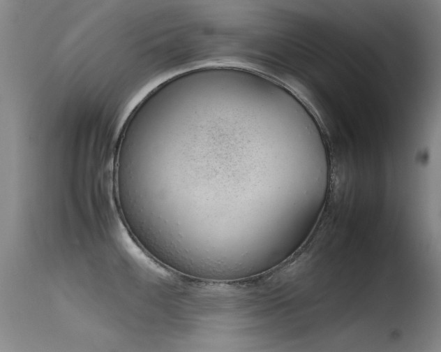 X0000115621100200911101410