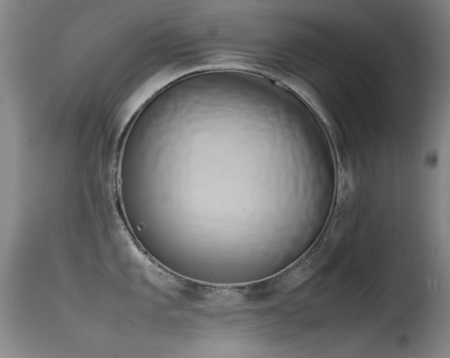 X0000115621101200911101410