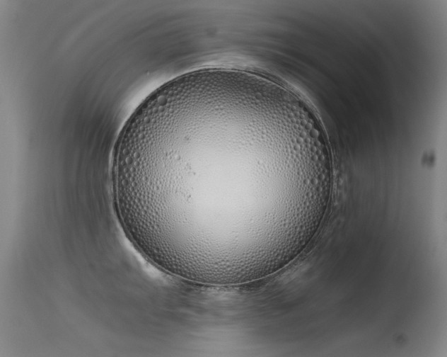 X0000115621103200911101410