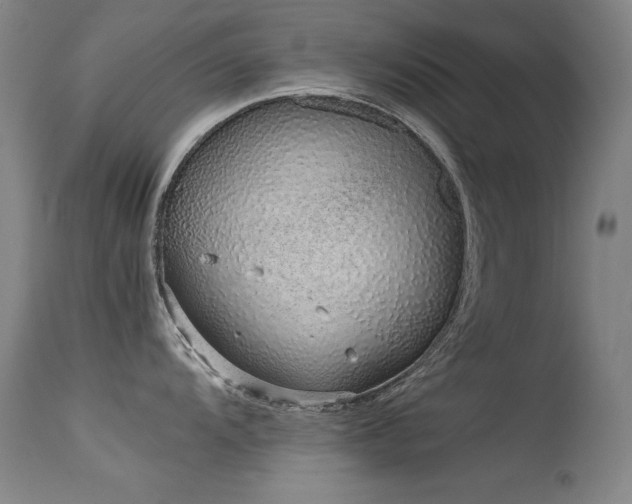 X0000115621104200911101410