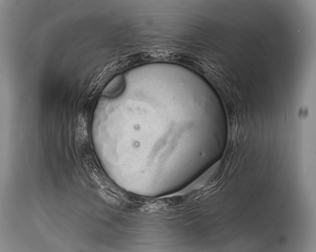 X0000115621106200911101409