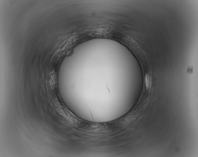 X0000115621107200911101409