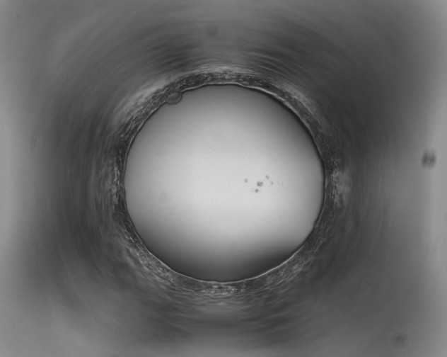 X0000115621111200911101409