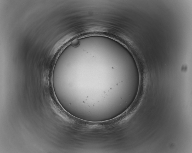 X0000115621113200911101409