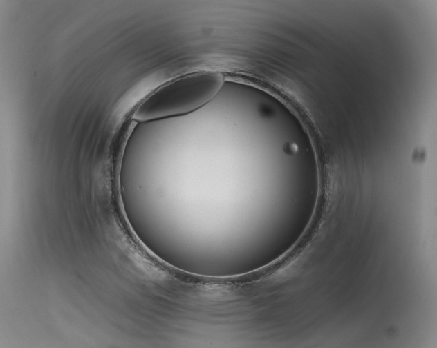 X0000115621114200911101409