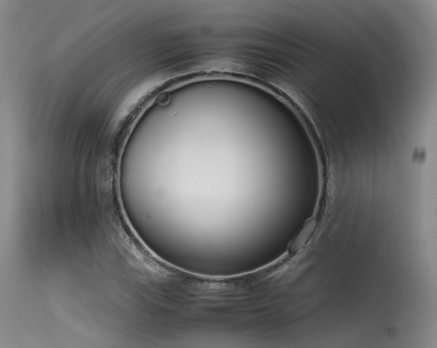 X0000115621115200911101409