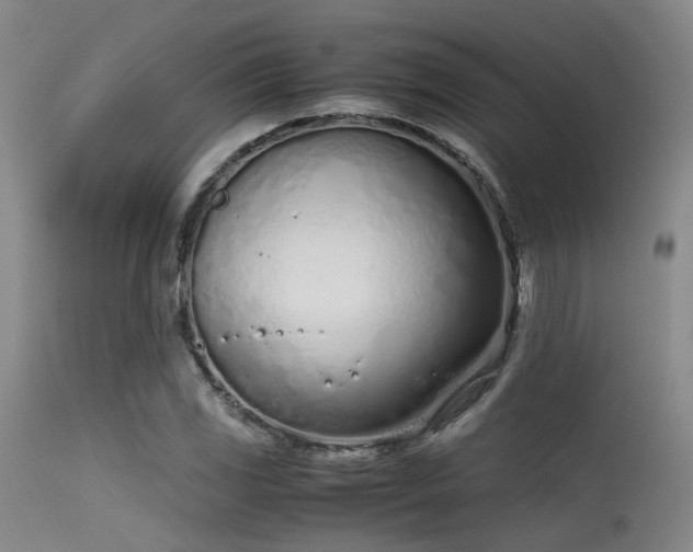 X0000115621117200911101409