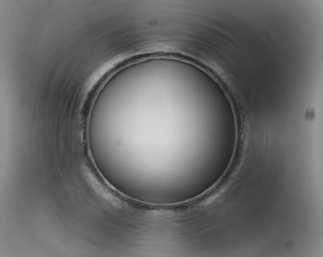 X0000115621118200911101409