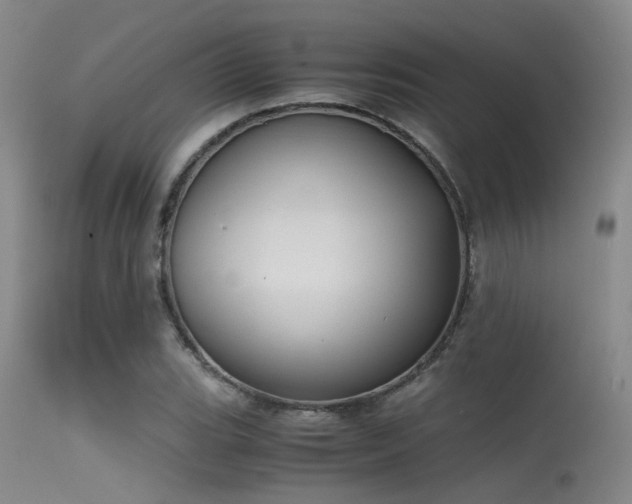 X0000115621119200911101409