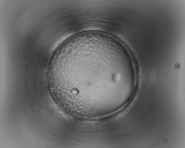 X0000115621121200911101409