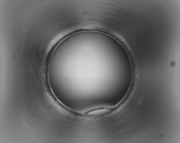 X0000115621122200911101409