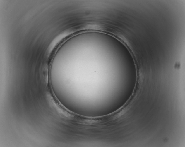 X0000115621123200911101409