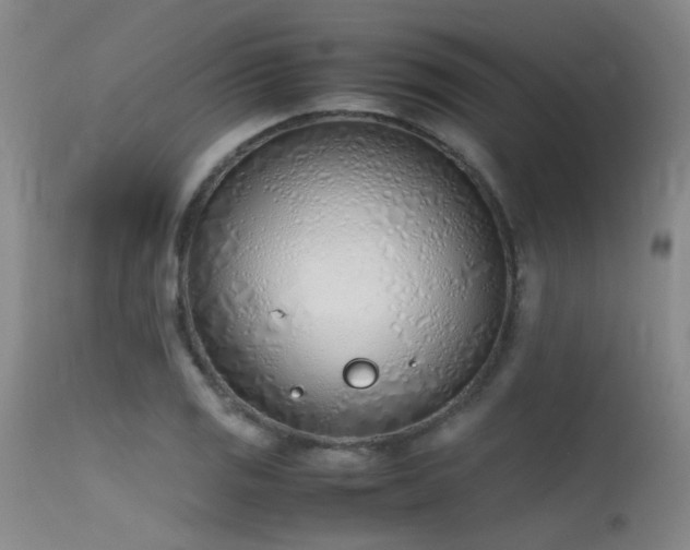 X0000115621125200911101409